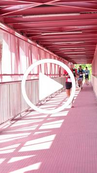 BIB:  <button type="button" onclick="openModal(27534079)" class="btn btn-primary btn-sm float-right" data-toggle="modal" data-target=".modal-high-quality">
                <i class="fa fa-download"></i> Download
                </button>